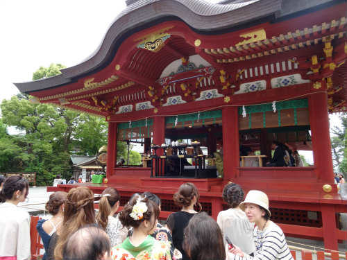 Wedding at Tsurugoaka Hachimangu Shrine, Kamakura